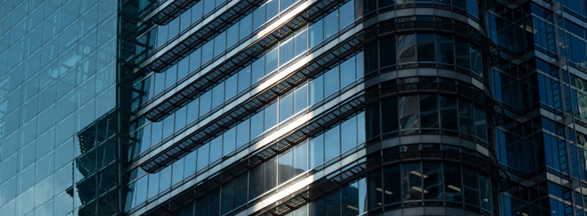 Persönliche Finanzberatung – Methodik BRIANTIS